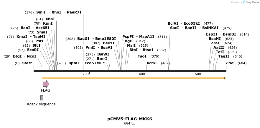 27247_map
