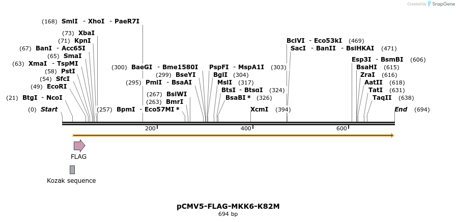27248_map