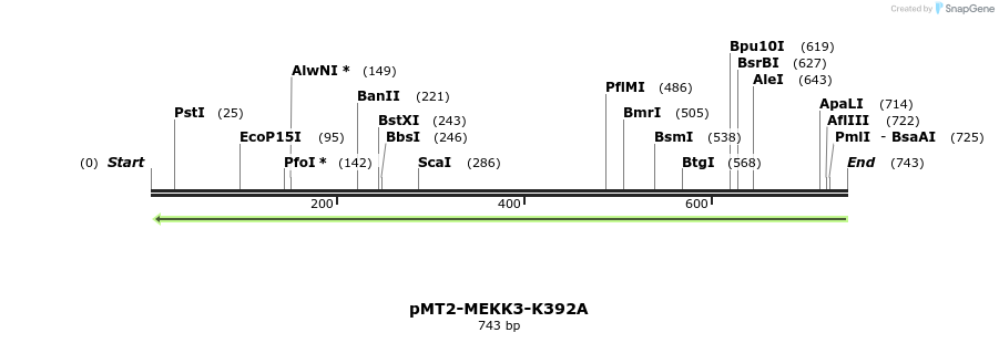 27251_map
