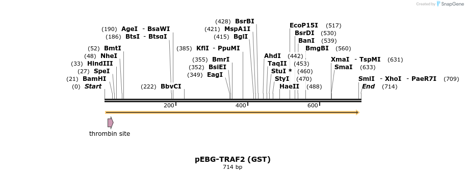 27253_map