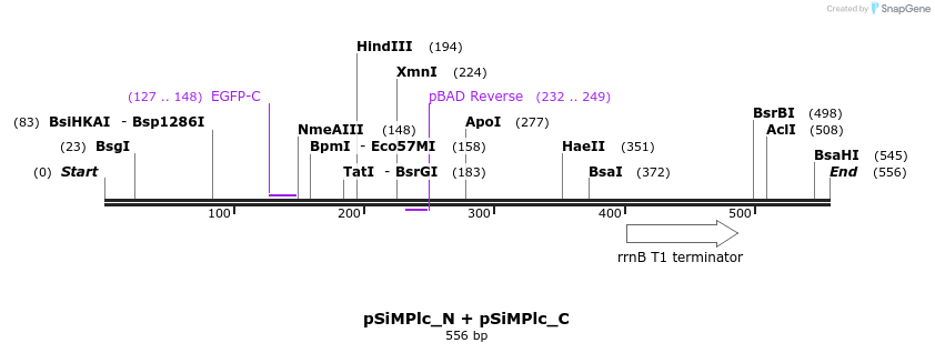 272563_map