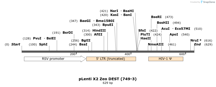 27261_map