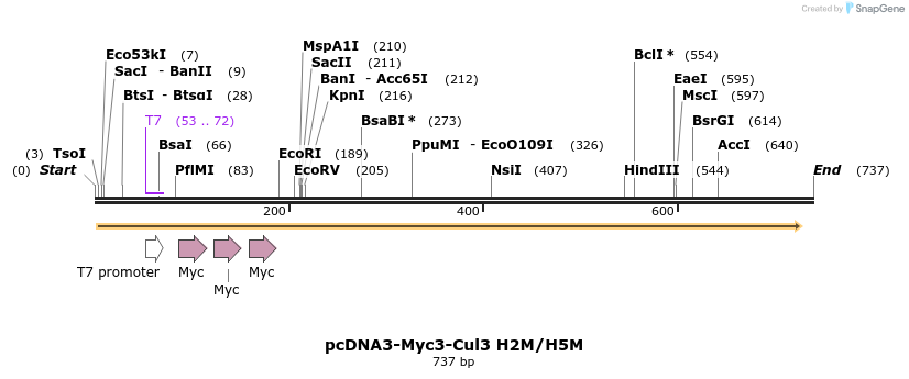 27264_map