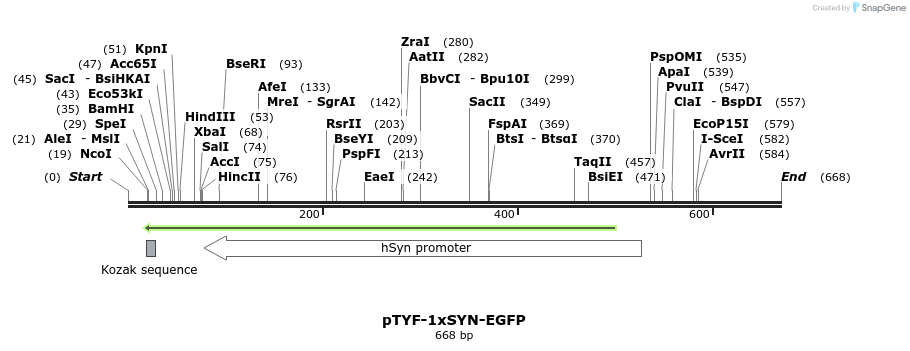 27268_map