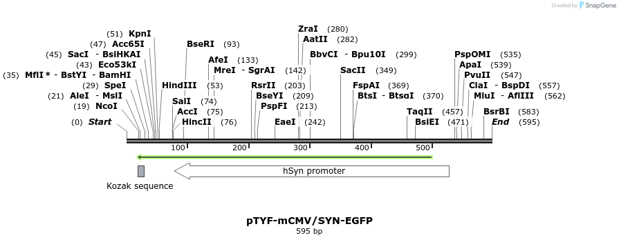 27270_map