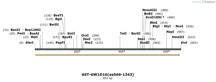 27278_map