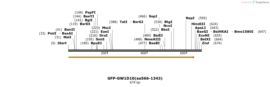 27280_map