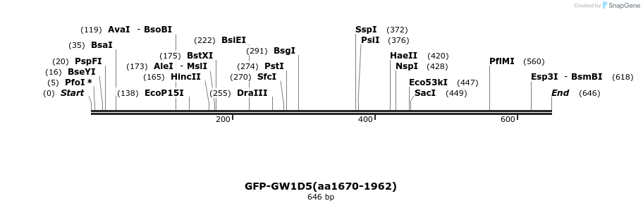 27281_map