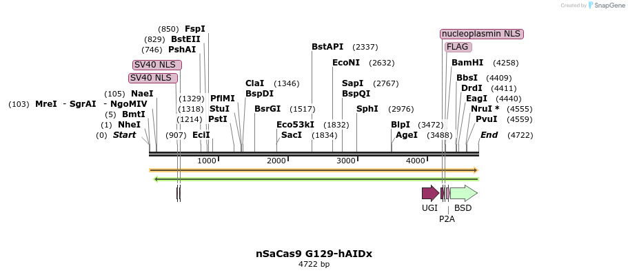 272819_map