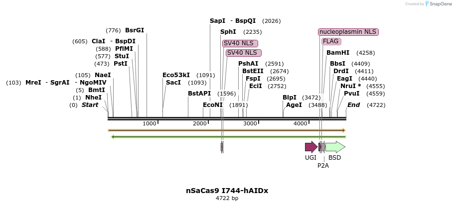 272820_map
