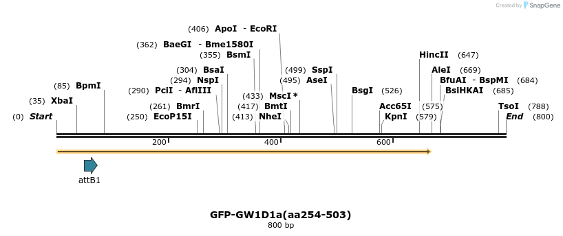 27283_map