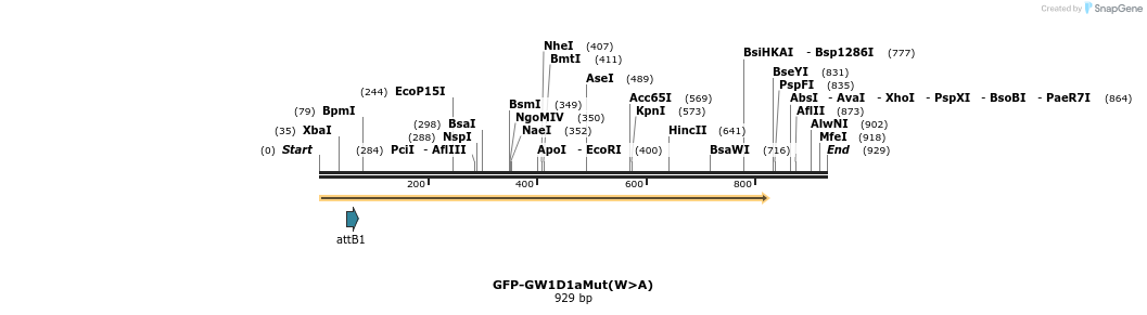 27286_map