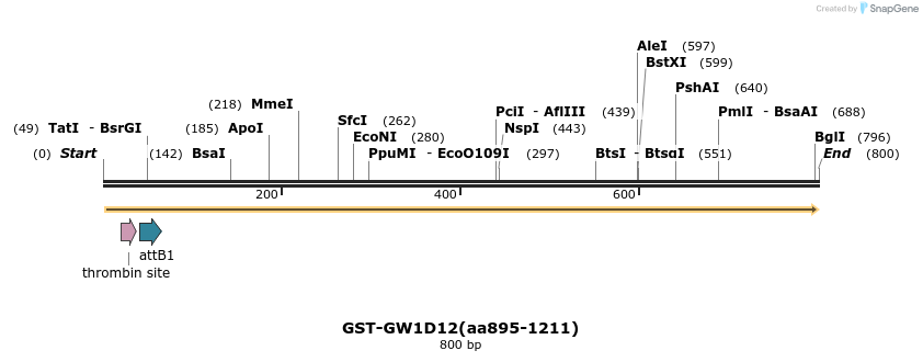 27294_map