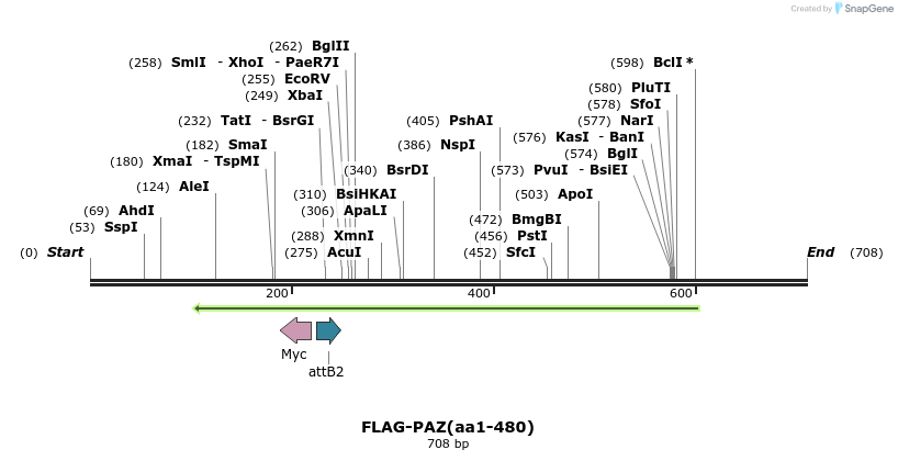 27295_map