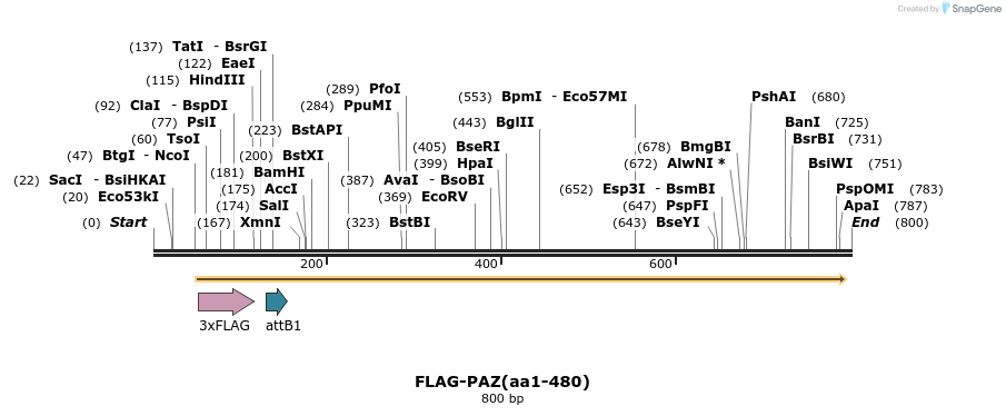 27296_map