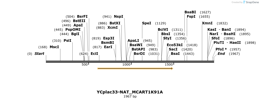 272963_map