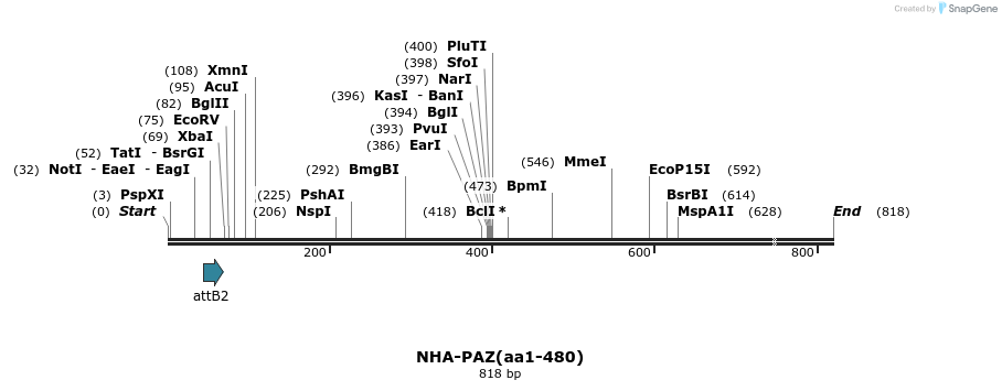 27297_map