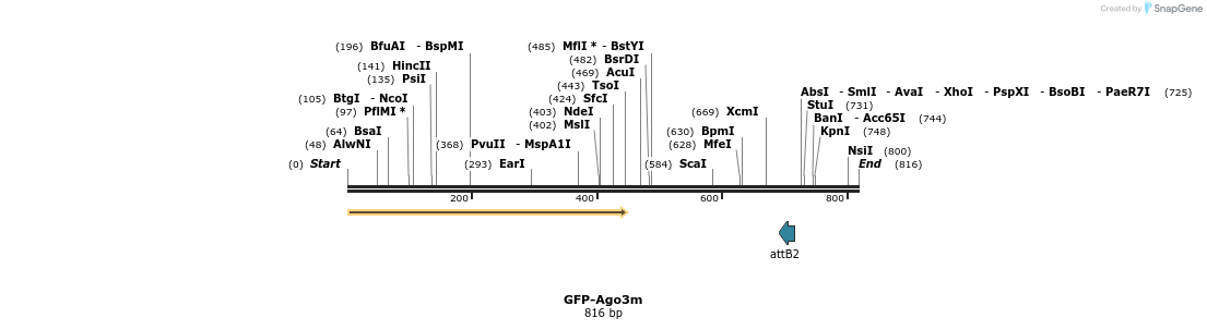 27299_map