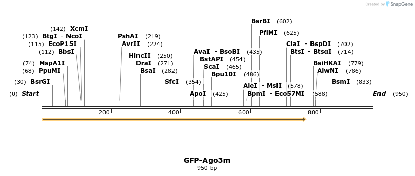 27300_map