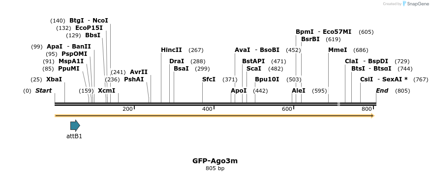27301_map