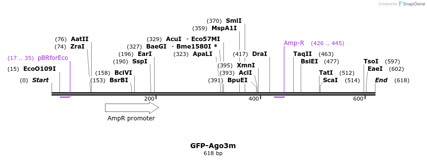 27302_map