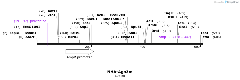 27304_map