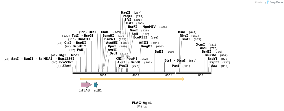 27305_map