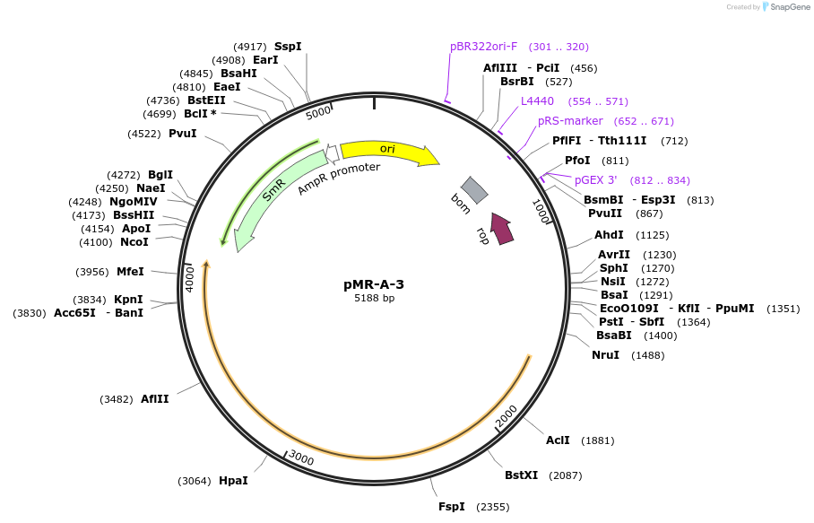 273050_map