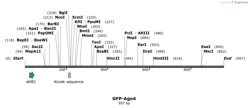 27308_map