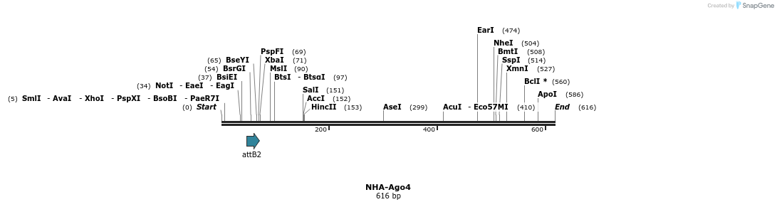 27310_map