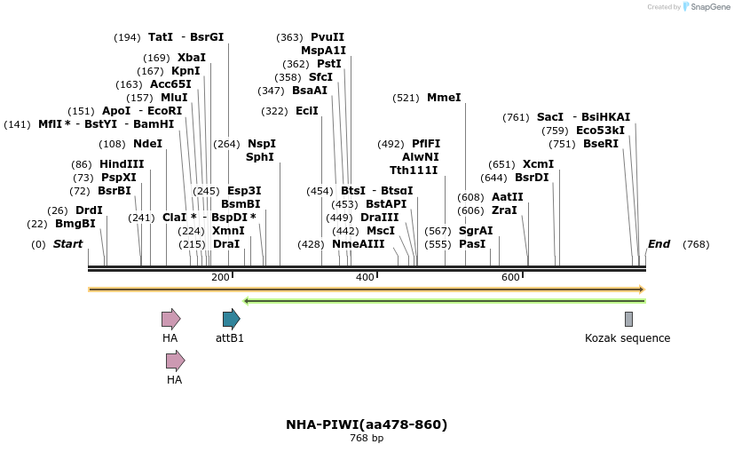 27312_map