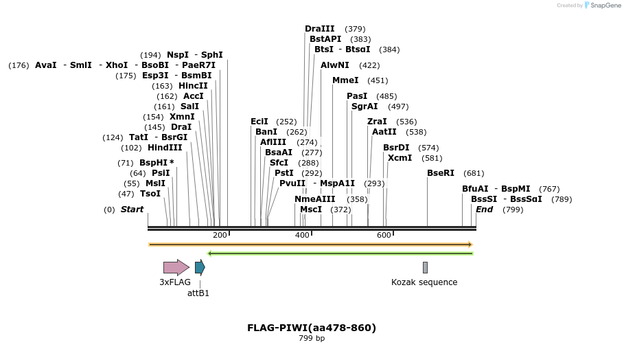 27314_map