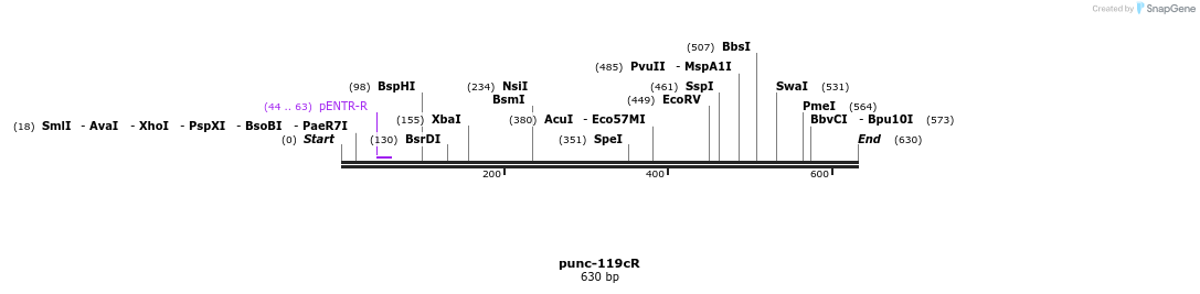 27316_map