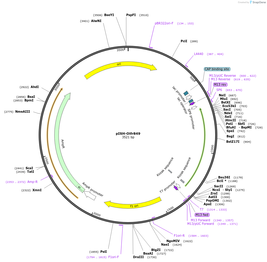 273212_map