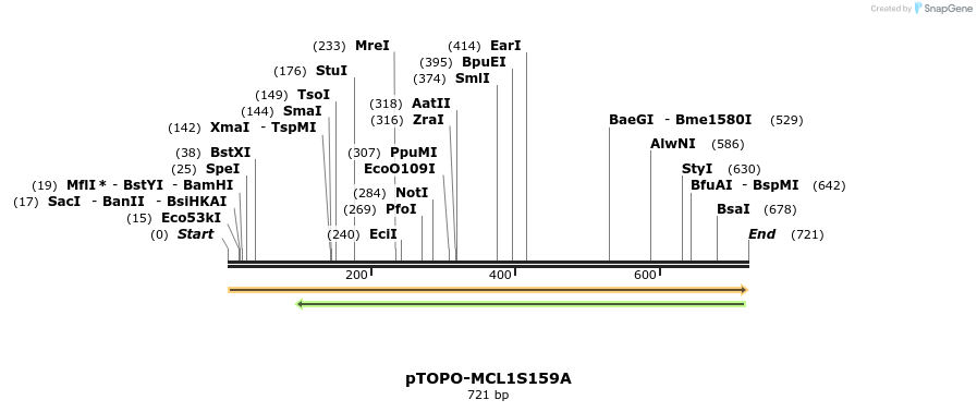27330_map