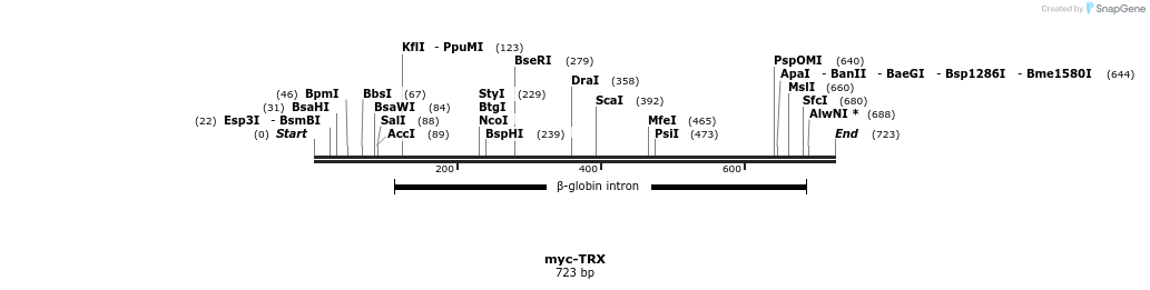 27342_map