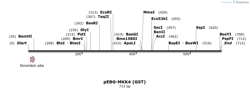 27344_map