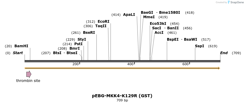 27345_map