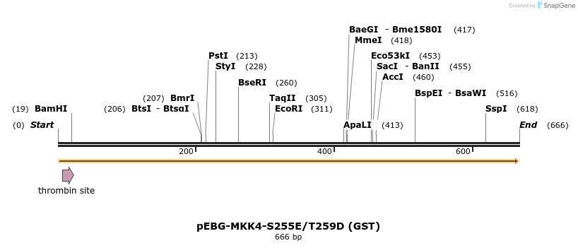 27346_map