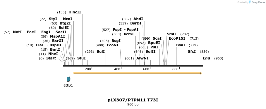273595_map