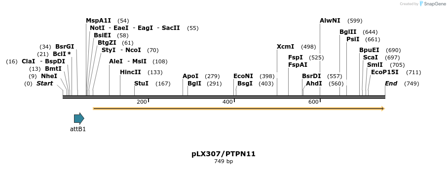 273596_map