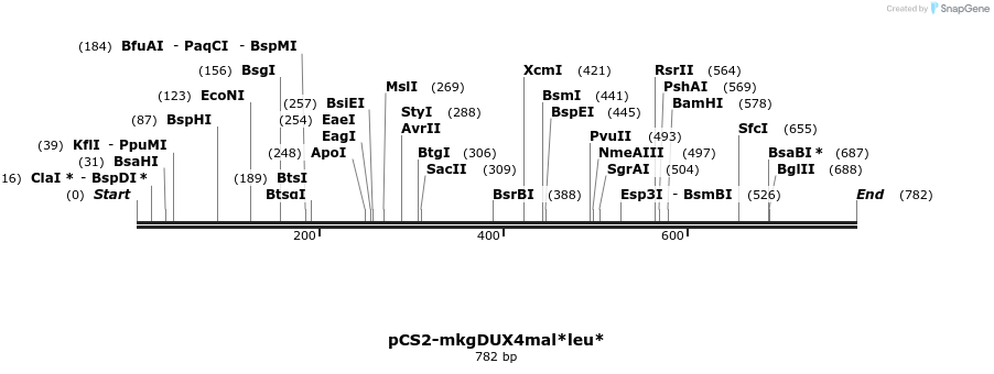 27360_map