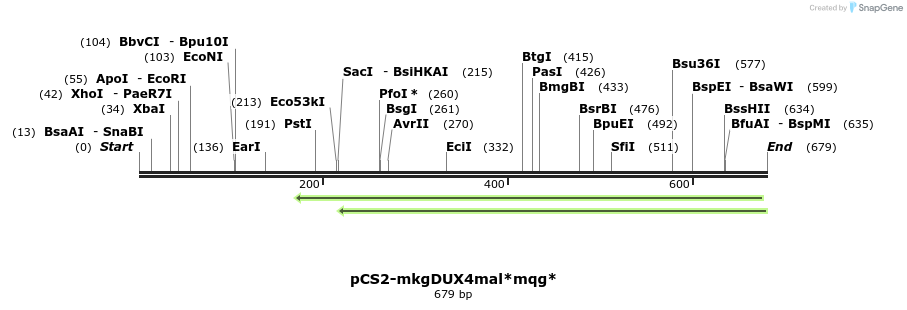 27361_map