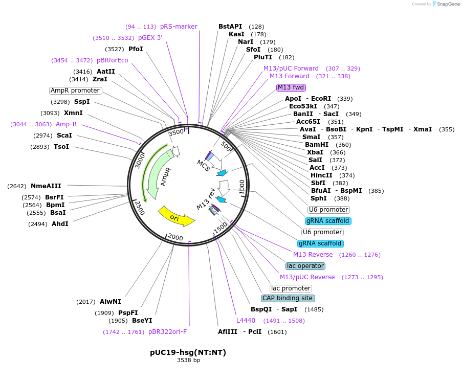 273631_map