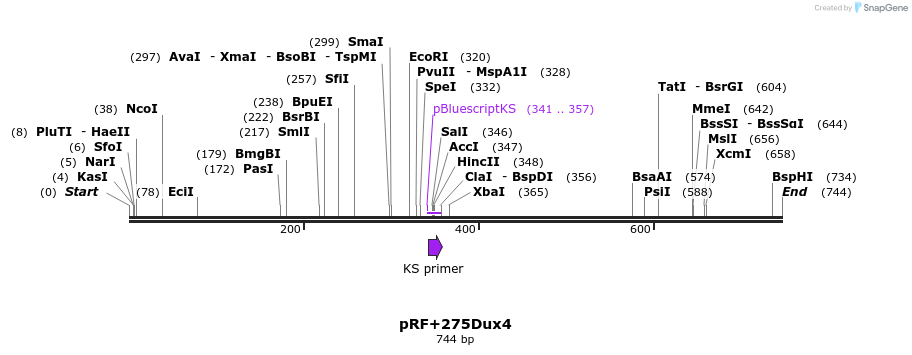 27366_map