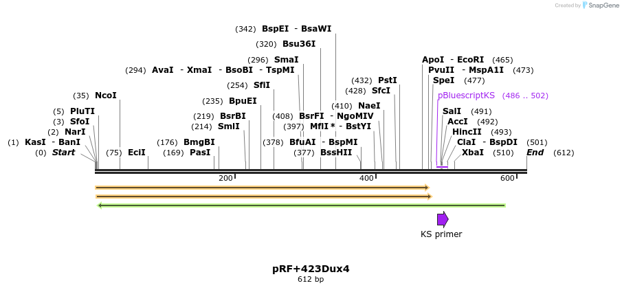 27367_map