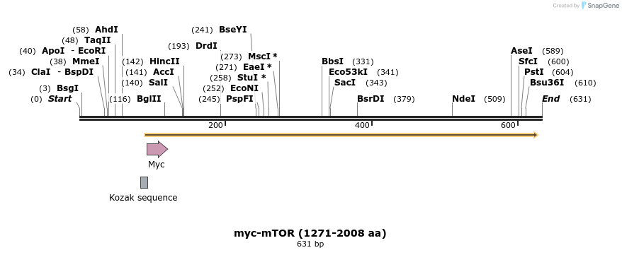 27369_map
