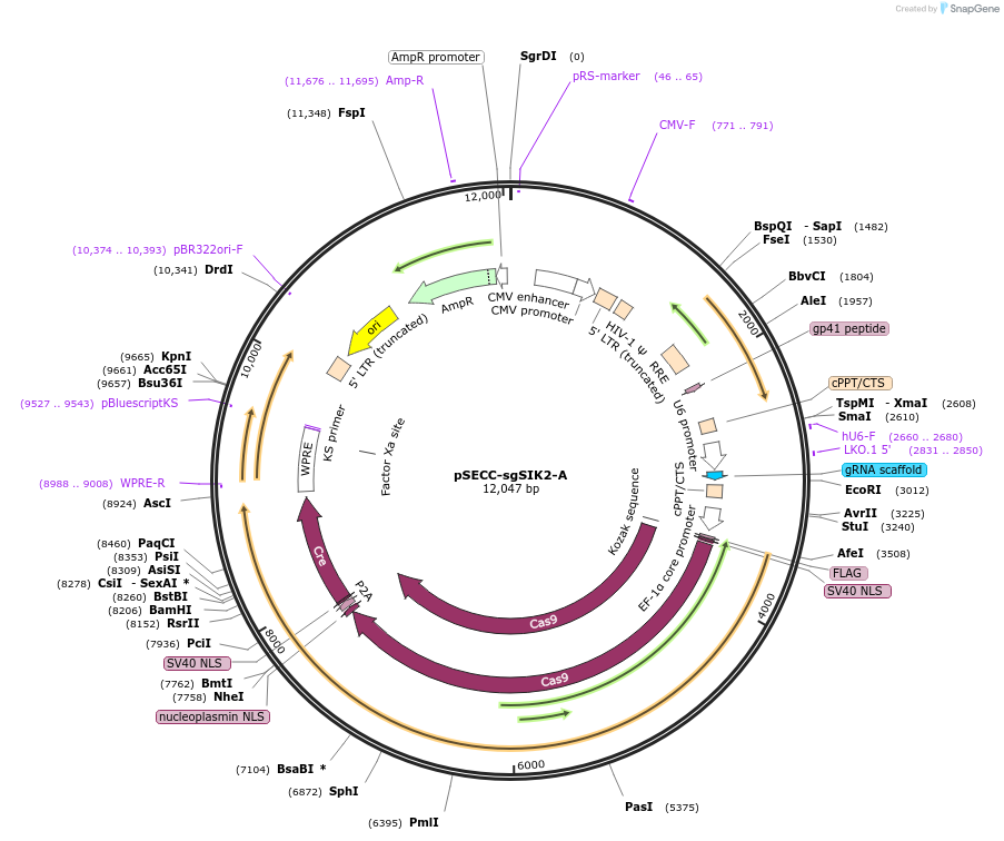 273700_map