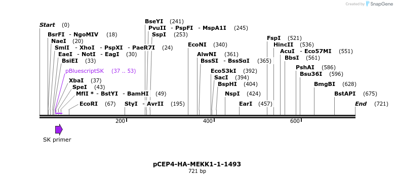 27371_map