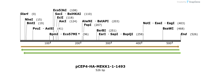 27372_map